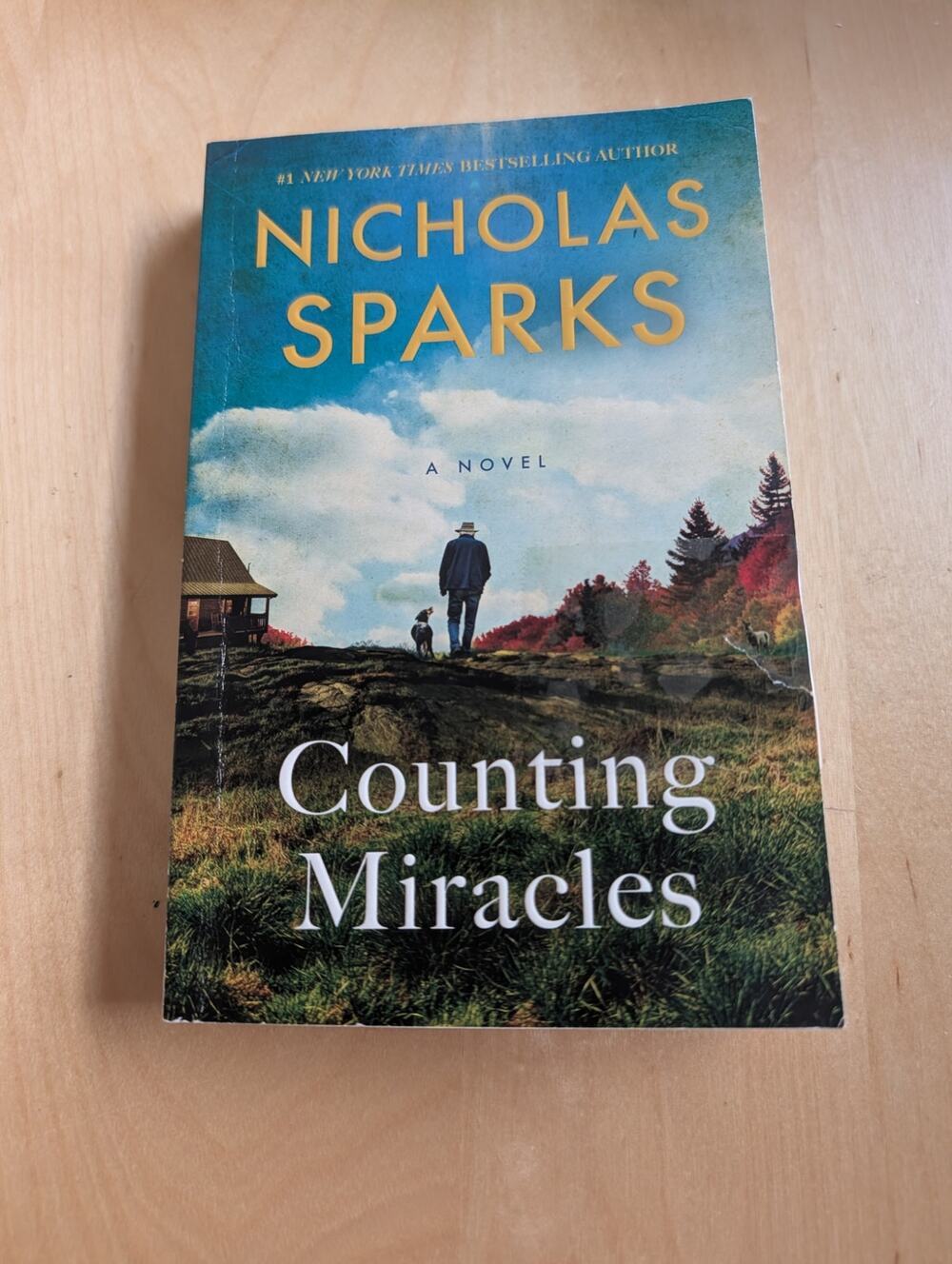 🧨Counting Miracles by Nicholas Sparks